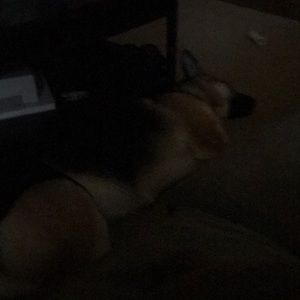 Meet your Posher, Madeleine